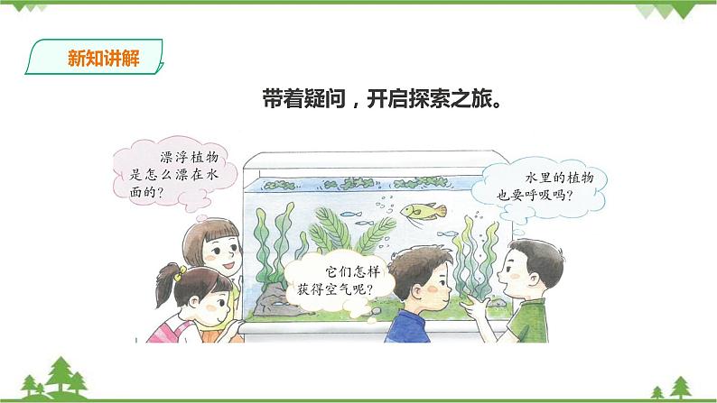 苏教版科学三年级下册2.7《水里的植物》PPT课件+教案+练习+素材07