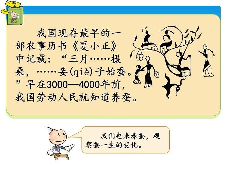 新湘科版科学四年级下册：2.1 蚕宝宝出生了 PPT课件+教案+学习评价表+素材04