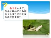 新湘科版科学四年级下册：2.2 蚕宝宝在长大 PPT课件+学习评价表+素材