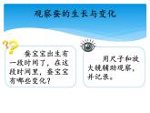 新湘科版科学四年级下册：2.2 蚕宝宝在长大 PPT课件+学习评价表+素材
