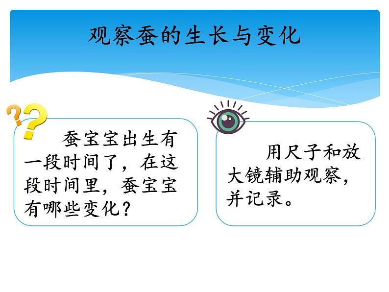 新湘科版科学四年级下册：2.2 蚕宝宝在长大 PPT课件+学习评价表+素材03