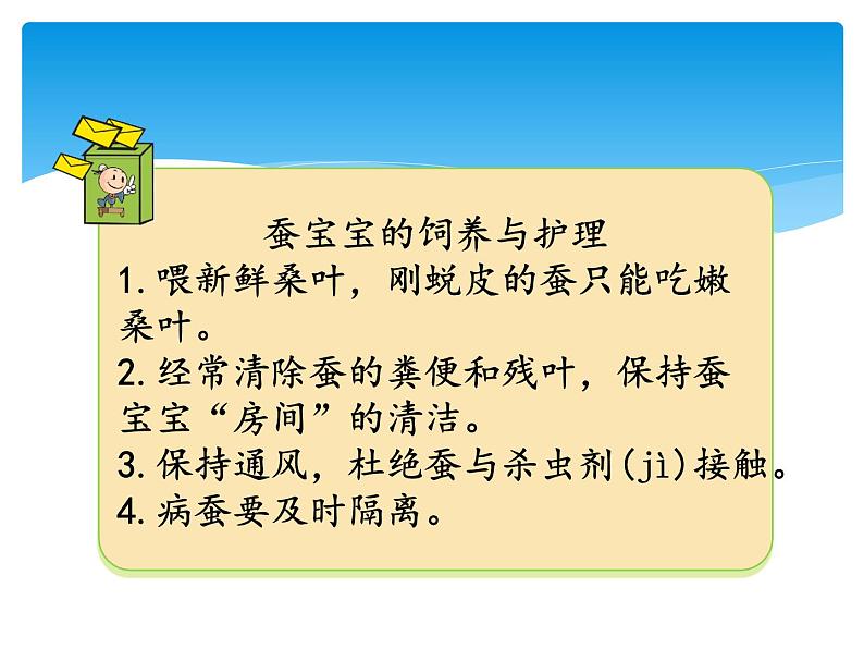 新湘科版科学四年级下册：2.2 蚕宝宝在长大 PPT课件+学习评价表+素材07