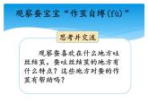 新湘科版科学四年级下册：2.3 蚕宝宝大变样 PPT课件+学习评价表+素材