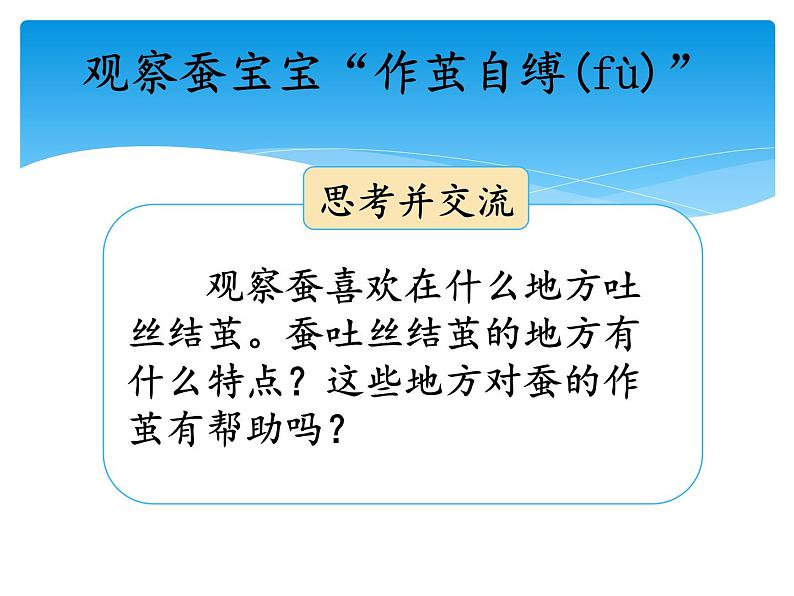 新湘科版科学四年级下册：2.3 蚕宝宝大变样 PPT课件+学习评价表+素材05