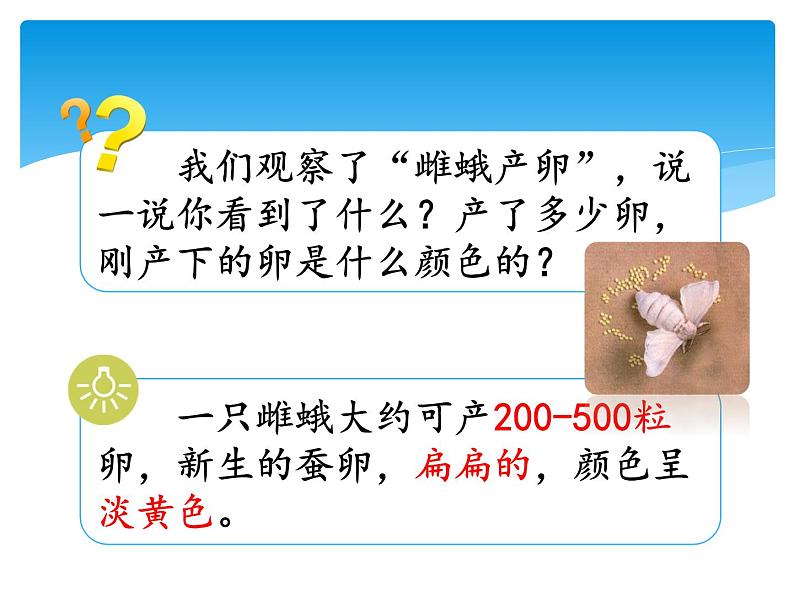 新湘科版科学四年级下册：2.4 昆虫的一生 PPT课件+教案+学习评价表+素材02