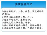 新湘科版科学四年级下册：2.4 昆虫的一生 PPT课件+教案+学习评价表+素材
