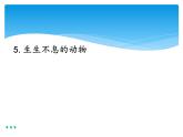 新湘科版科学四年级下册：2.5 生生不息的动物 PPT课件+教案+学习评价表+素材
