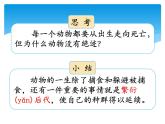 新湘科版科学四年级下册：2.5 生生不息的动物 PPT课件+教案+学习评价表+素材