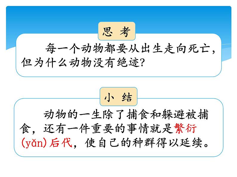 新湘科版科学四年级下册：2.5 生生不息的动物 PPT课件+教案+学习评价表+素材05