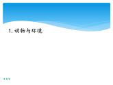 新湘科版科学四年级下册：3.1 动物与环境 PPT课件+教案+学习评价表+素材