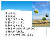 新湘科版科学四年级下册：3.1 动物与环境 PPT课件+教案+学习评价表+素材