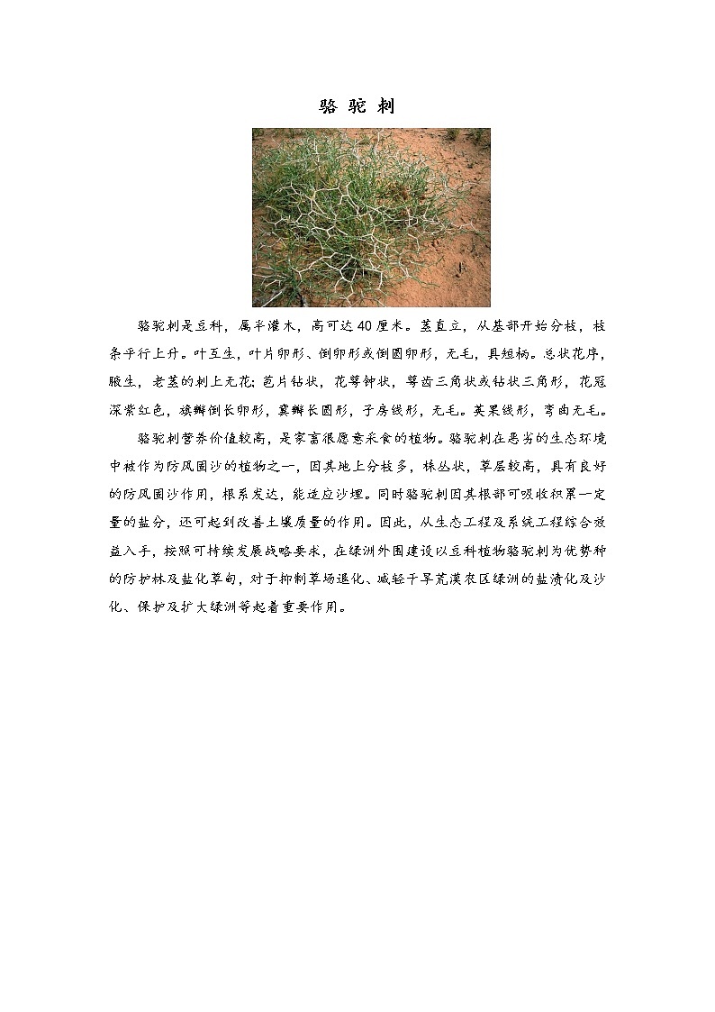 新湘科版科学四年级下册：3.2 植物与环境 教案+PPT课件+学习评价表+素材01