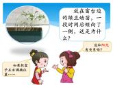 新湘科版科學(xué)四年級(jí)下冊(cè)：3.2 植物與環(huán)境 教案+PPT課件+學(xué)習(xí)評(píng)價(jià)表+素材