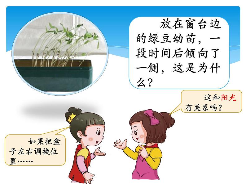 新湘科版科学四年级下册：3.2 植物与环境 教案+PPT课件+学习评价表+素材04