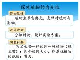 新湘科版科學(xué)四年級(jí)下冊(cè)：3.2 植物與環(huán)境 教案+PPT課件+學(xué)習(xí)評(píng)價(jià)表+素材