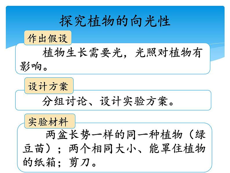 新湘科版科学四年级下册：3.2 植物与环境 教案+PPT课件+学习评价表+素材05