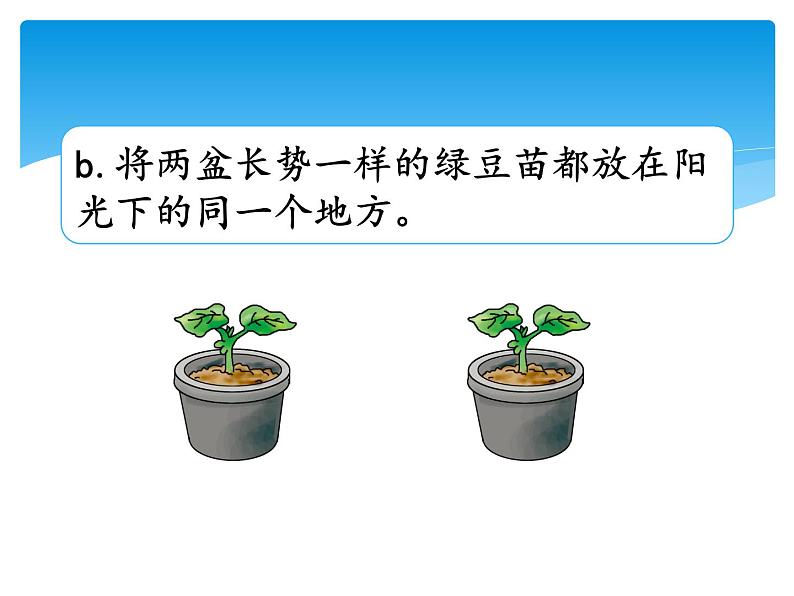 新湘科版科学四年级下册：3.2 植物与环境 教案+PPT课件+学习评价表+素材07