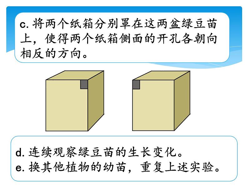 新湘科版科学四年级下册：3.2 植物与环境 教案+PPT课件+学习评价表+素材08