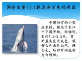 新湘科版科学四年级下册：3.4 人类对生物的影响 教案+PPT课件+学习评价表+素材