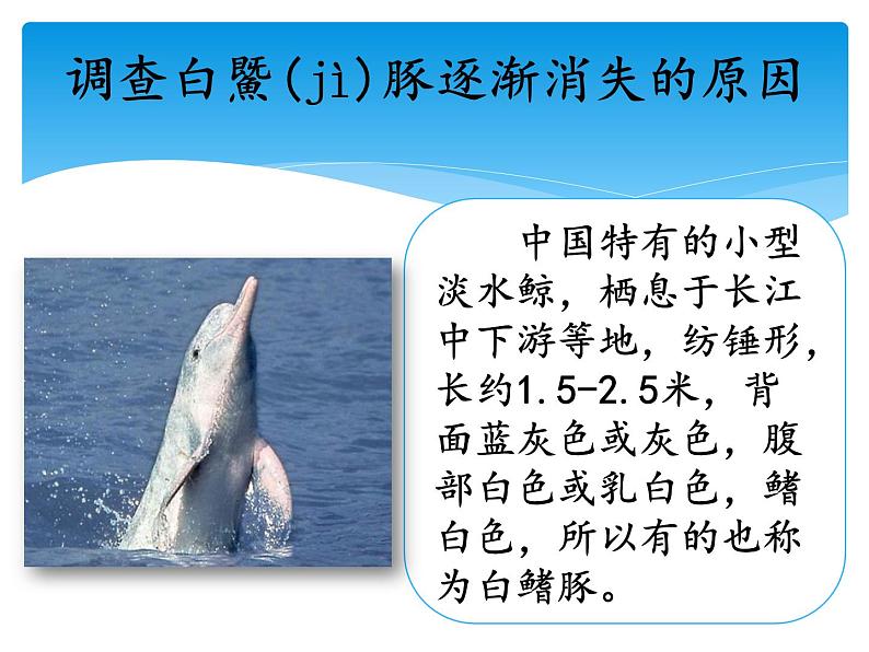 新湘科版科学四年级下册：3.4 人类对生物的影响 教案+PPT课件+学习评价表+素材02