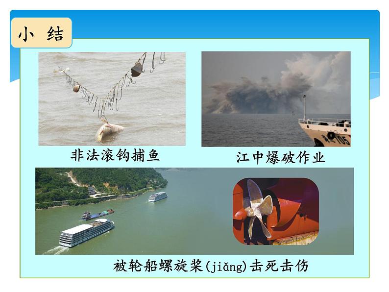 新湘科版科学四年级下册：3.4 人类对生物的影响 教案+PPT课件+学习评价表+素材06