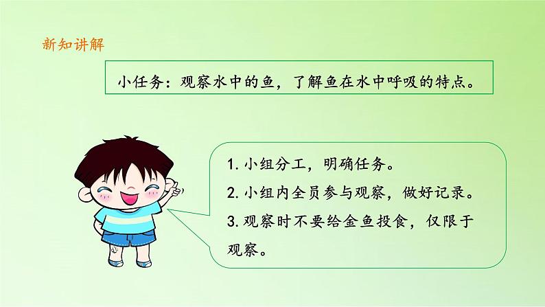 【课件】四年级下册科学-8《动物需要空气》粤教版 (共26张PPT)05