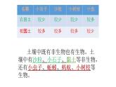 四年级下册科学1.土壤的组成PPT课件冀人版