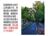 四年级科学下册7 植物的一生PPT课件 冀人版