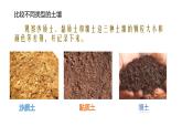 四年级下册科学2.沙质土、黏质土和壤土PPT课件冀人版