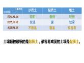 四年级下册科学2.沙质土、黏质土和壤土PPT课件冀人版