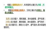 四年级下册科学2.沙质土、黏质土和壤土PPT课件冀人版