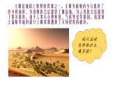 四年级下册科学3.保护土壤资源PPT课件冀人版