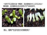 四年级科学下册6植物的繁殖PPT课件 冀人版