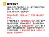 四年级科学下册6植物的繁殖PPT课件 冀人版