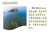 四年级下册科学4.河流和湖泊PPT课件冀人版