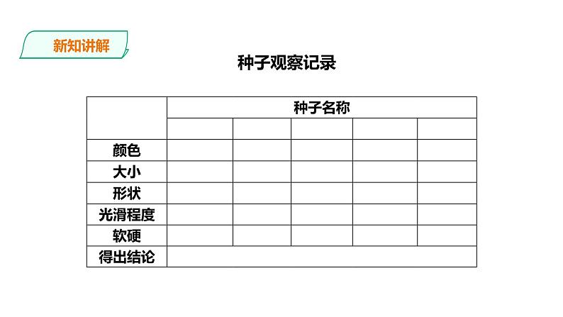 教科版（2017）四年级科学下册1.1《种子里孕育着新生命》课件+教案+视频07