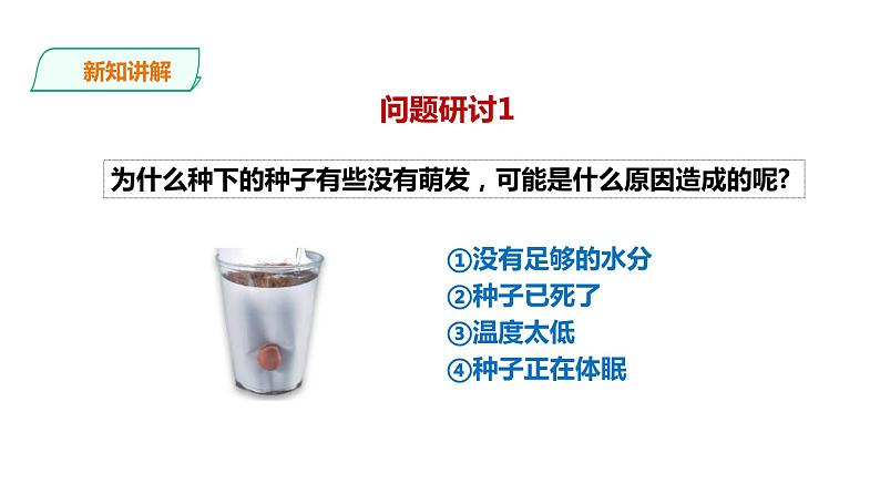 教科版（2017）四年级科学下册1.3《种子长出了根》课件+教案+视频07
