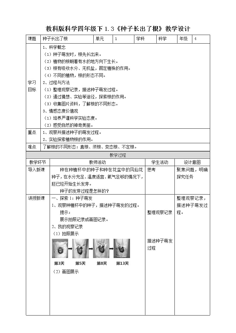 教科版（2017）四年级科学下册1.3《种子长出了根》课件+教案+视频01