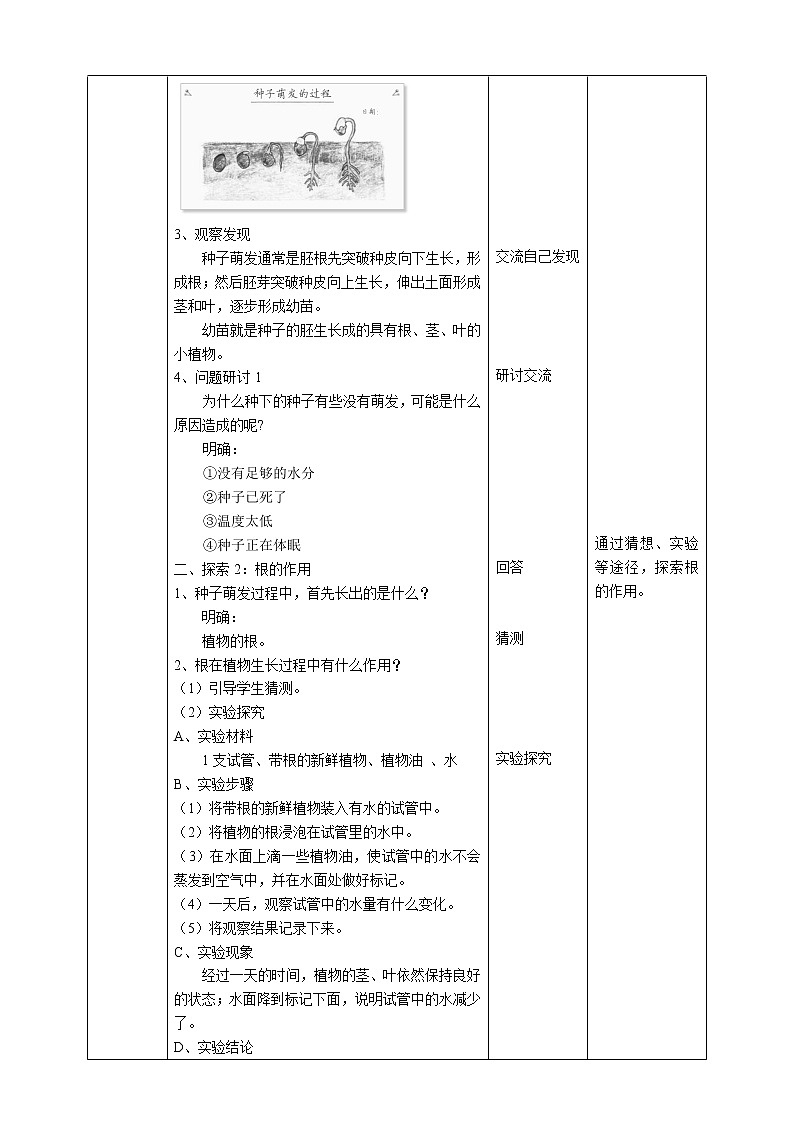 教科版（2017）四年级科学下册1.3《种子长出了根》课件+教案+视频02