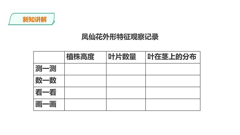 教科版（2017）四年级科学下册1.4《茎和叶》课件+教案+视频06