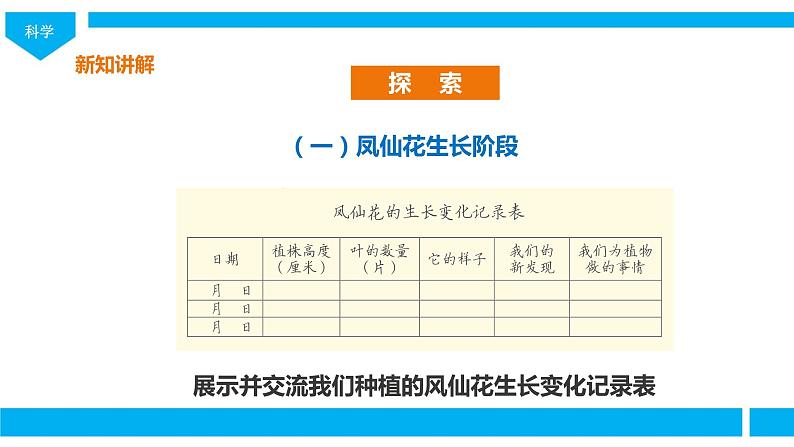 教科版（2017）四年级科学下册1.8《凤仙花的一生》课件+教案+视频03
