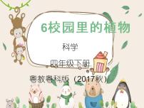 小学科学6 校园里的植物教案配套ppt课件