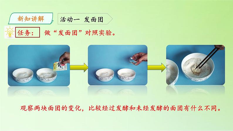 五年级科学下册课件-11.发面的学问-粤教版  (共21张PPT)07