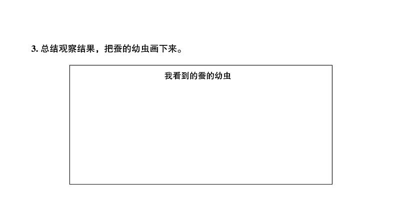 三年级科学下册习题课件--第3课时 蚕长大了 教科版第4页