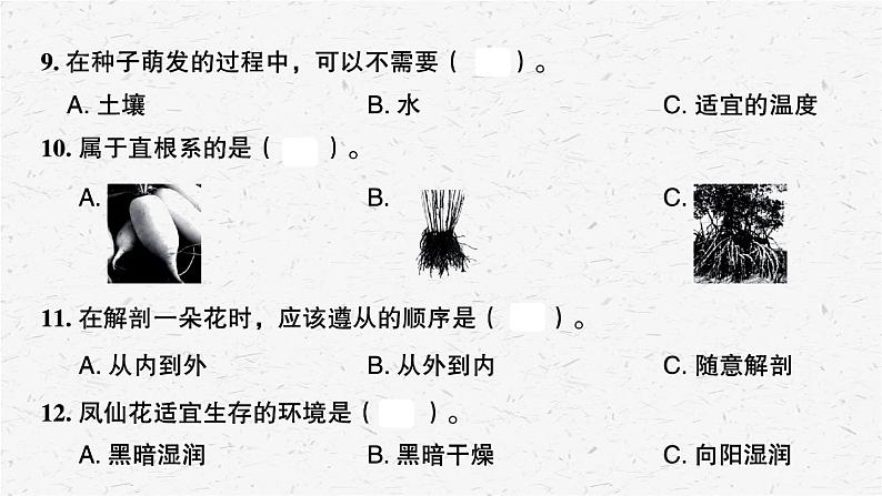 四年级下册科学课件-第一单元植物的生长变化练习题 教科版04