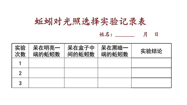 五年级下册科学课件  1.4《蚯蚓的选择》教科版05