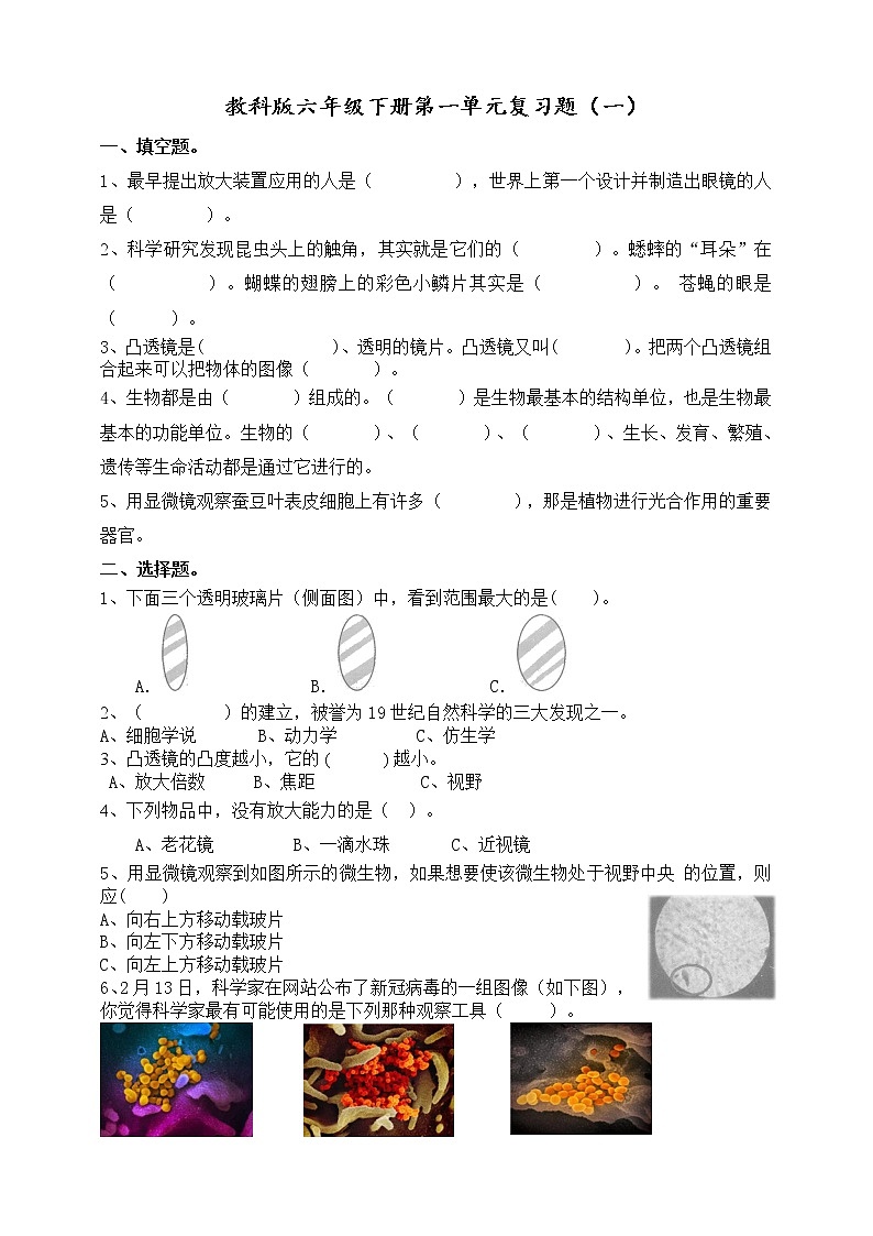教科版六年级下册科学微小生物第一单元复习题（一）（含答案）01