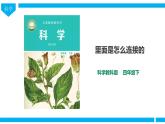 教科版（2017）四年级下册科学2.5《里面是怎样连接的》课件+教案+视频