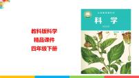 小学科学教科版 (2017)四年级下册3.种子长出了根课前预习课件ppt