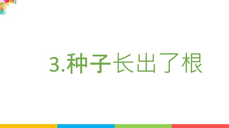 2021教科版四年级下册科学-1.3种子长出了根PPT课件及教案02